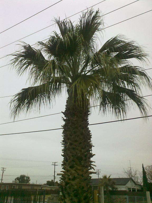 Hotel Europa Ridgecrest CA - W Upjohn Ave Exterior foto